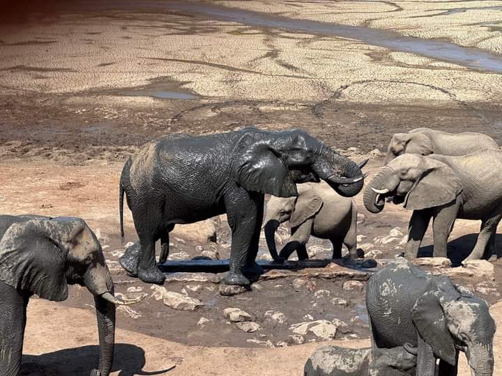 Day. 2 Hwange